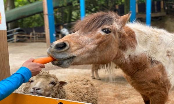 【最大30％OFF】スムーズ入場もできる「入園チケット」の写真