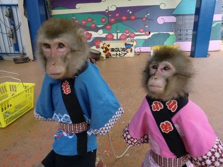 【最大30％OFF】スムーズ入場もできる「入園チケット」の写真