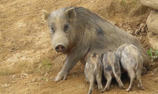 【最大30％OFF】スムーズ入場もできる「入園チケット」の写真