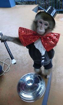 【最大30％OFF】スムーズ入場もできる「入園チケット」の写真