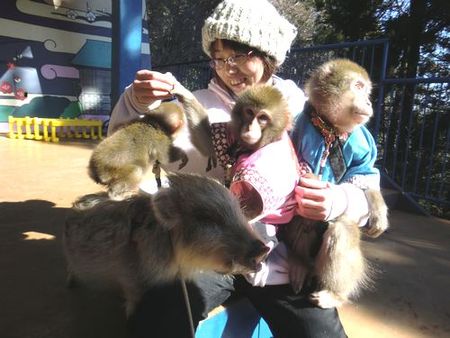 【最大30％OFF】スムーズ入場もできる「入園チケット」の写真