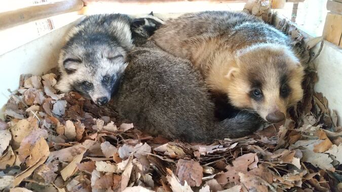 【最大30％OFF】スムーズ入場もできる「入園チケット」の写真