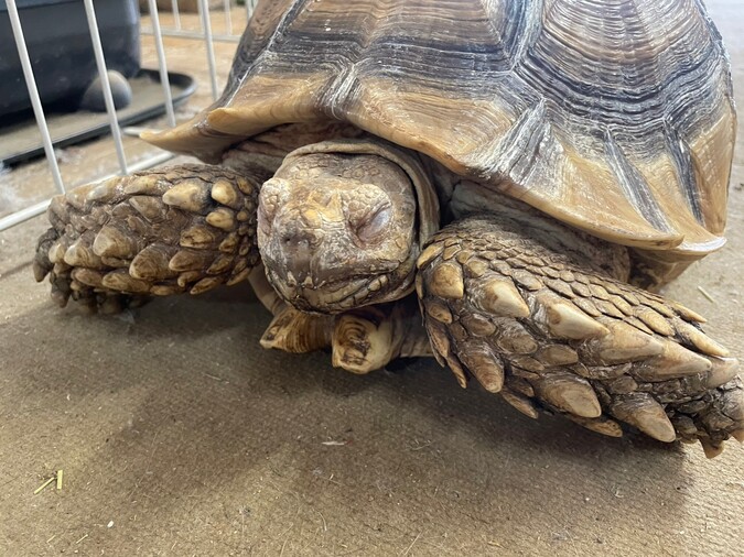 【最大30％OFF】スムーズ入場もできる「入園チケット」の写真