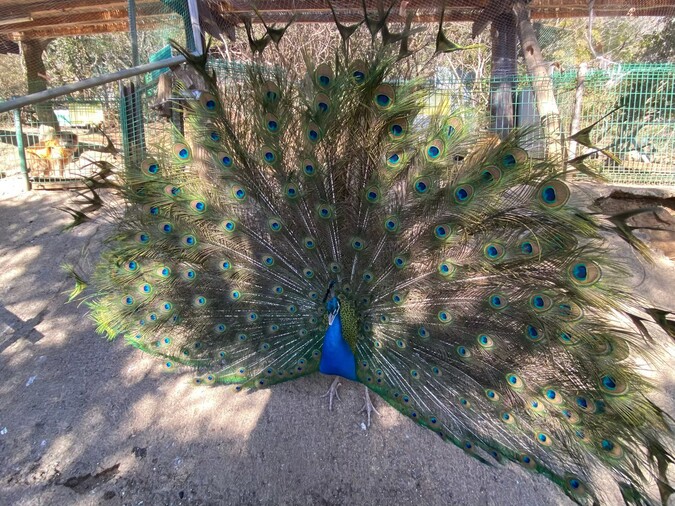 【最大30％OFF】スムーズ入場もできる「入園チケット」の写真