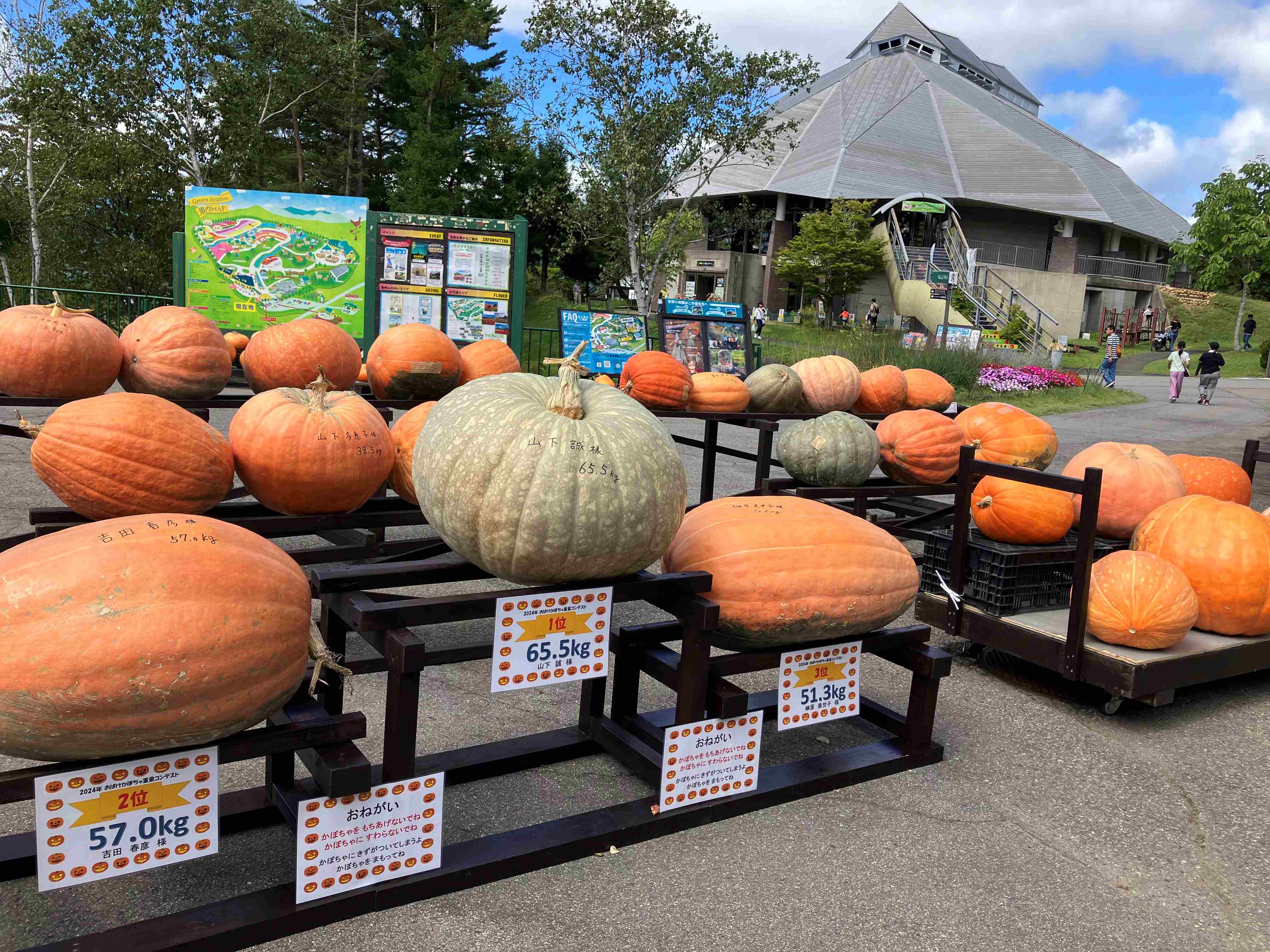 ハロウィン
お化けかぼちゃ