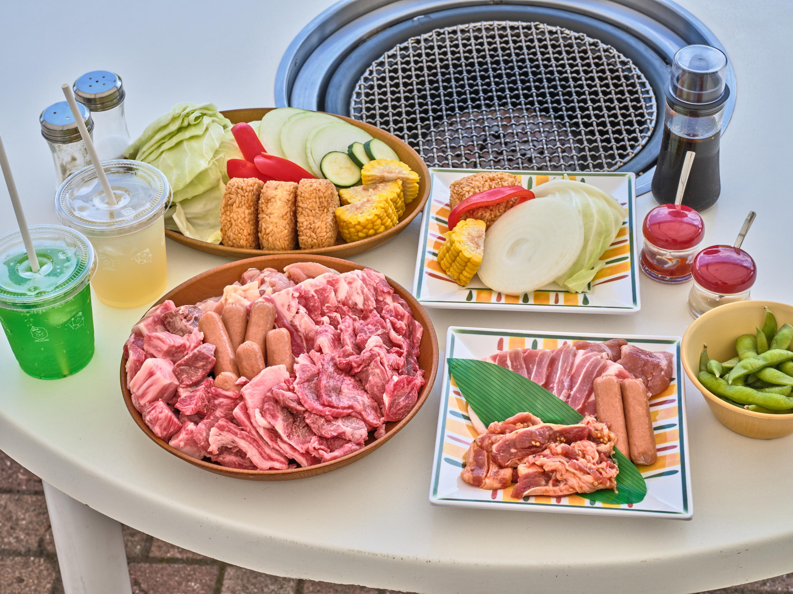 【JAM TERRACE(観光リフト往復)+500円食事券付】JAM福井勝山マウンテンリゾート の写真