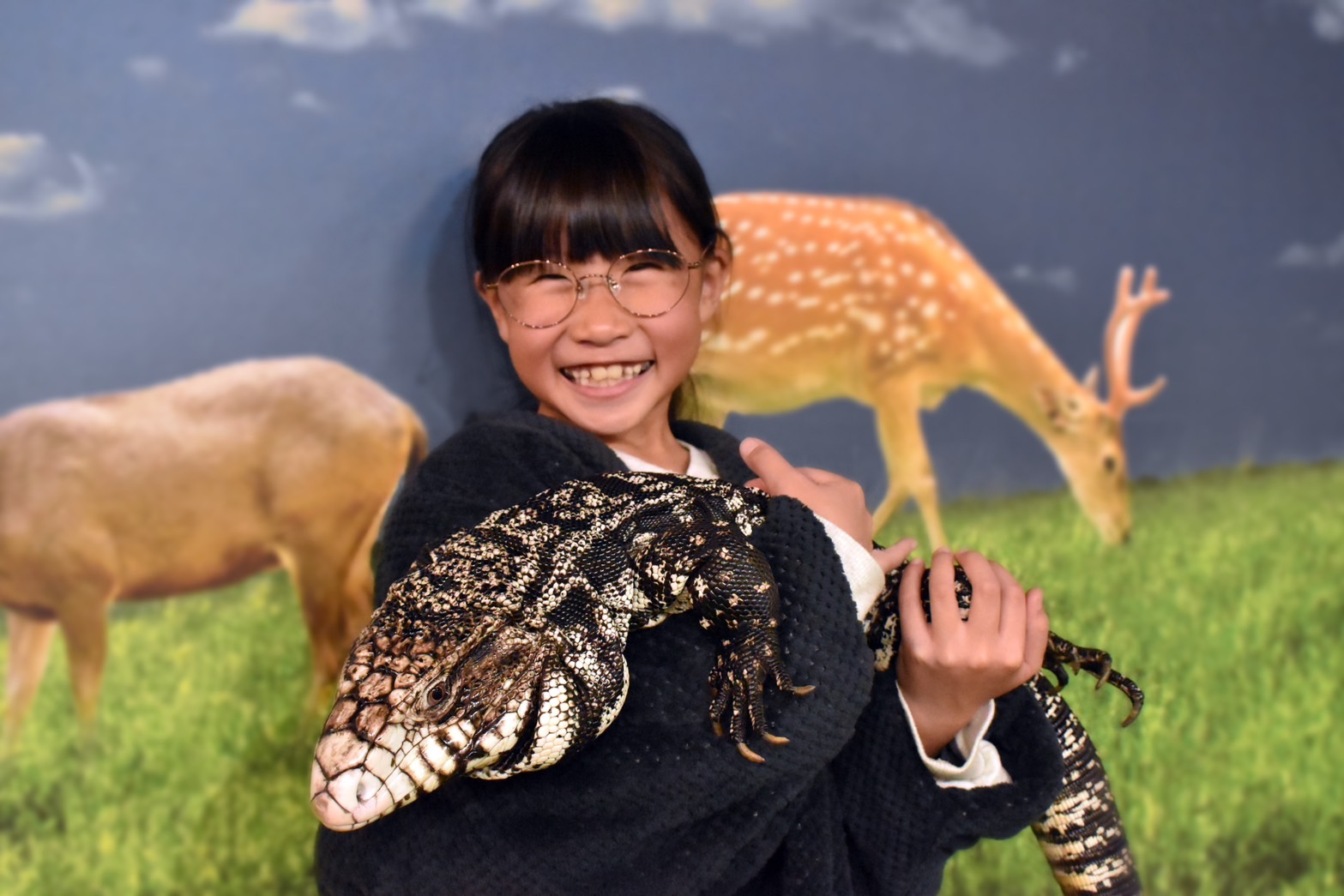 NARA IKIMONO MUSEUM入場チケットの写真