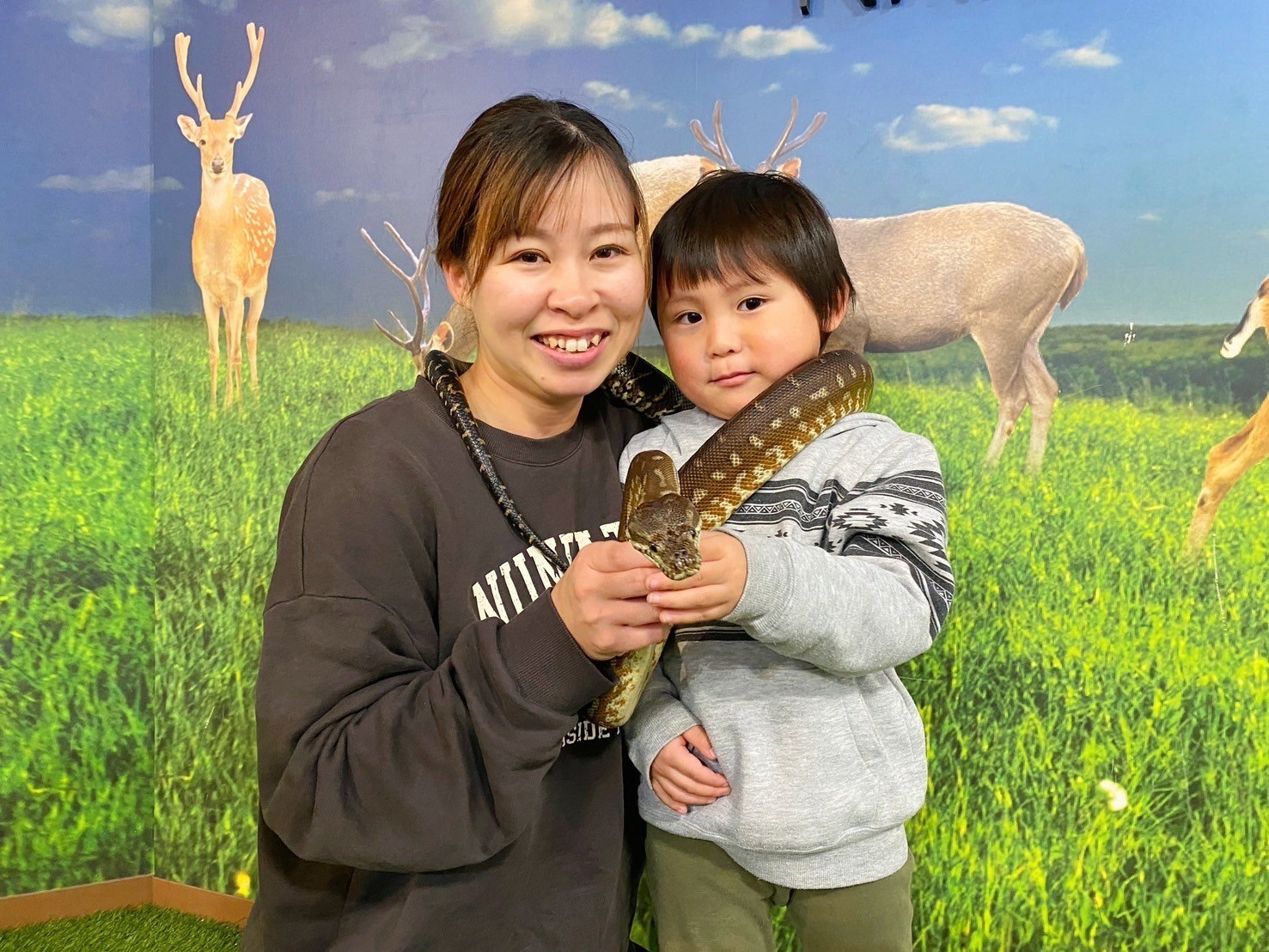 NARA IKIMONO MUSEUM入場チケットの写真