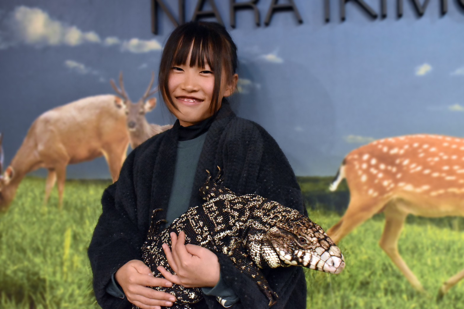 NARA IKIMONO MUSEUM × NARA KINGYO MUSEUM 共通チケットの写真