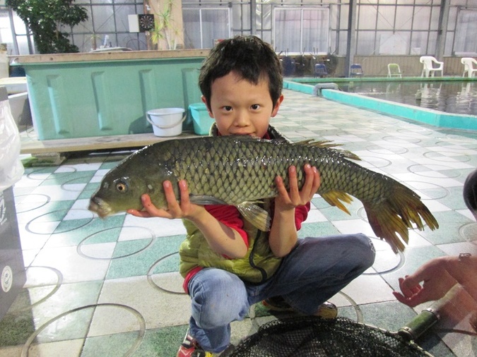 【MIX池プラン】鯉や金魚、川魚などやや大きめの魚が釣れる体験の写真