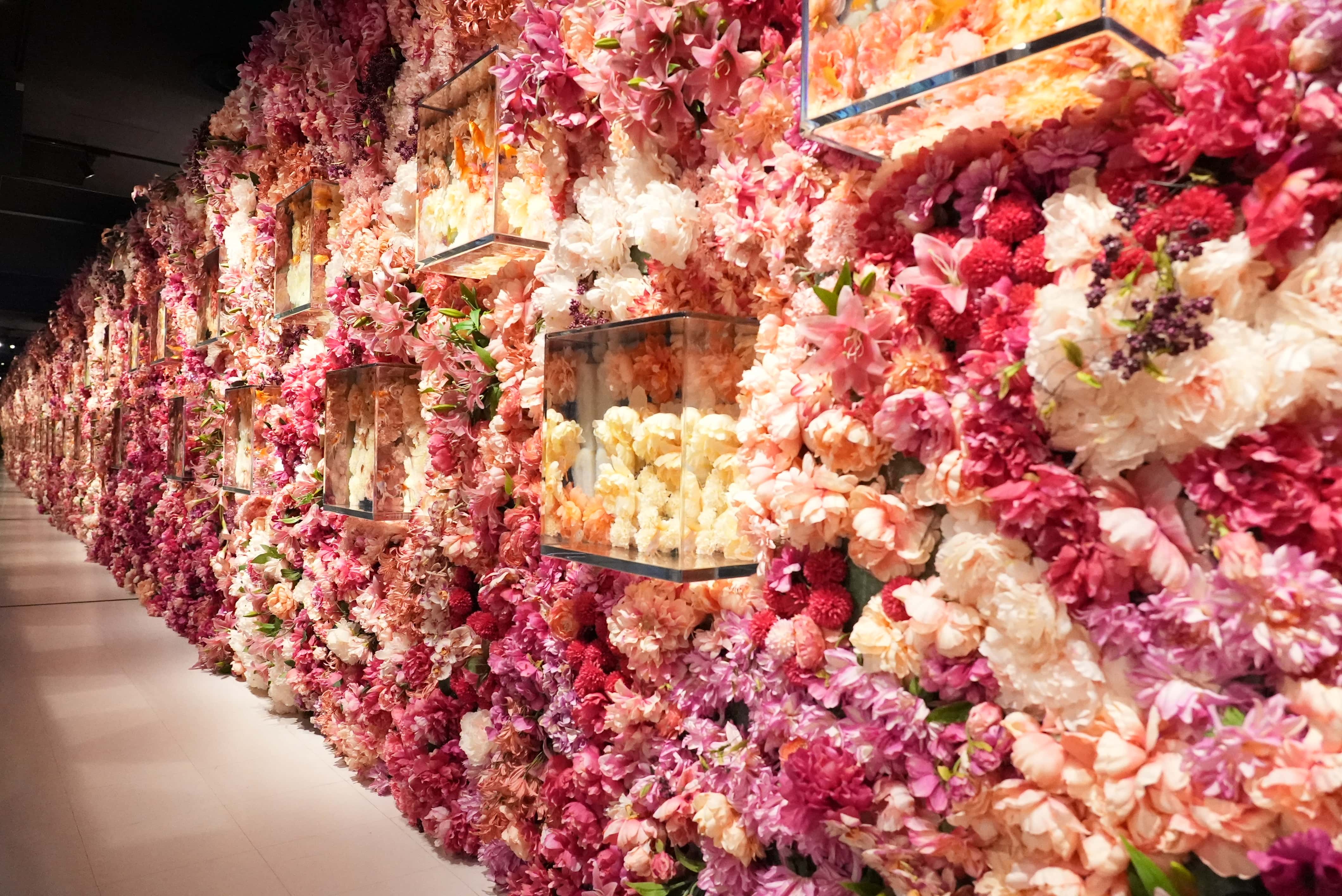 【期間限定イベント開催中！】NARA KINGYO MUSEUM　入場チケットの写真