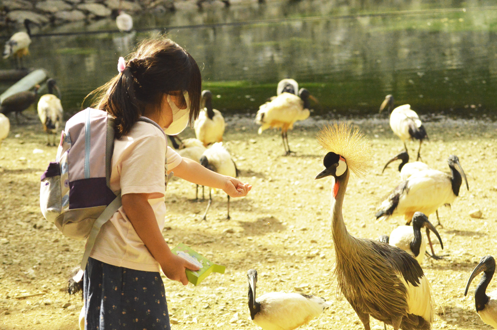 トートの湖ではたくさんの鳥たちがお出迎え