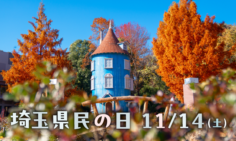 【県民割】ムーミンバレーパーク 1デーパスの写真
