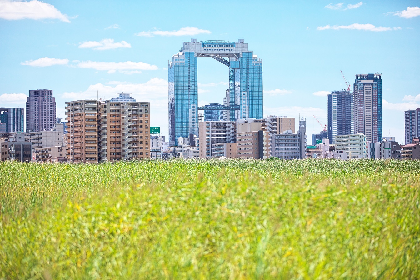 【250円割引】絹谷幸二 天空美術館　前売り電子入館引換券＋天空ソーダ付きの写真
