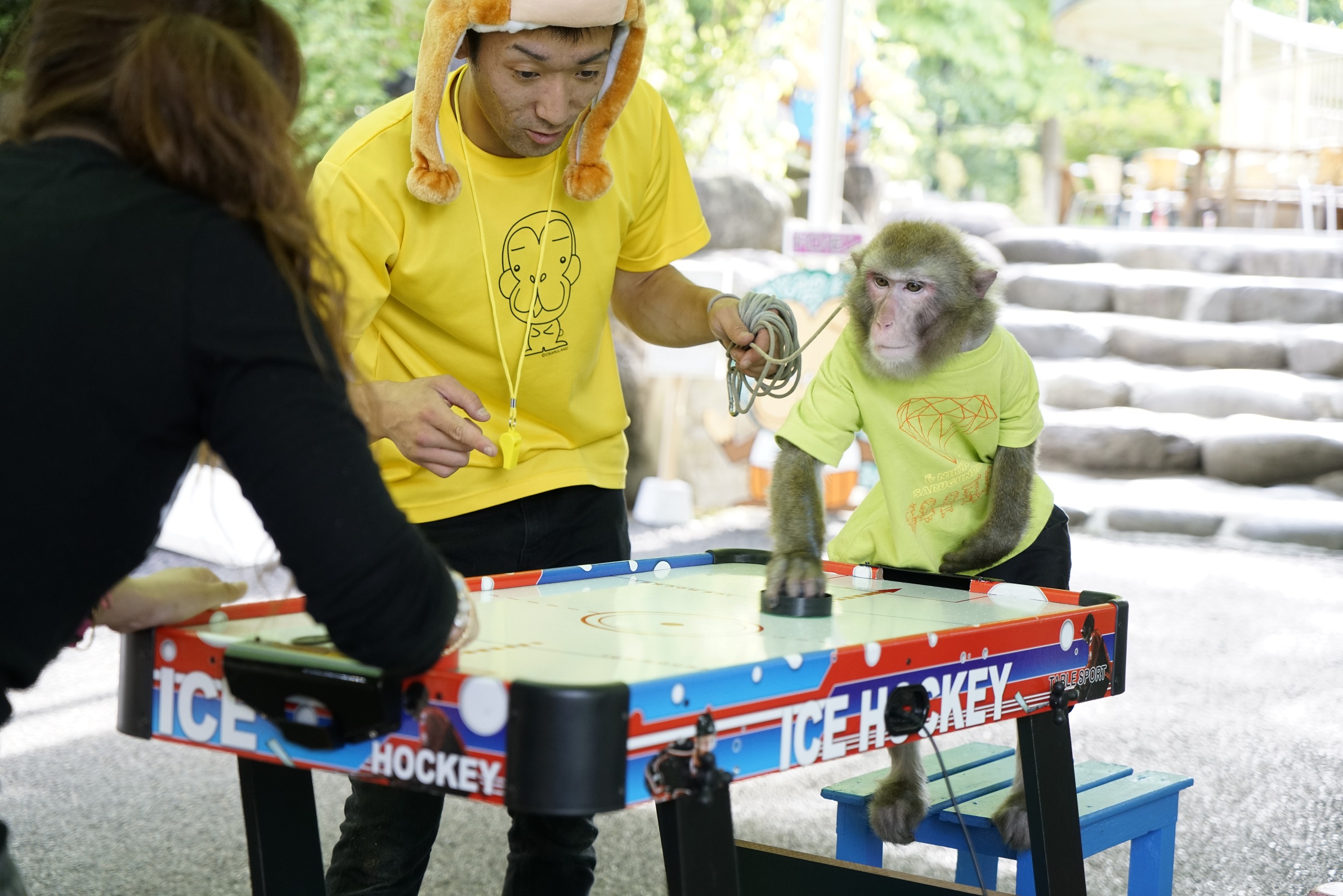 【最大300円割引】おさるさんを間近で楽しめる！日光さる軍団 お得な前売りチケットの写真