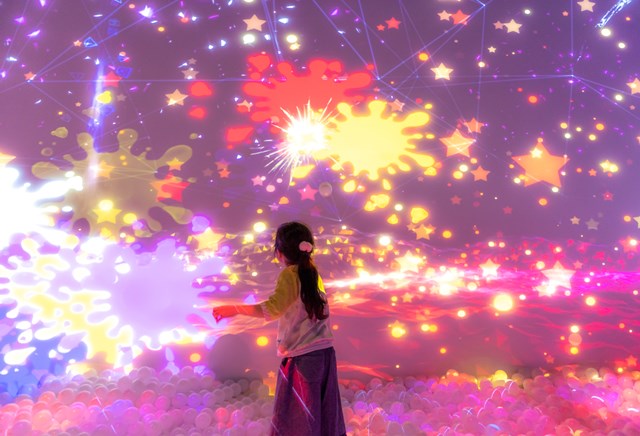 【最大300円引・土日祝・1日フリーパス】混雑日も入場確約！の写真