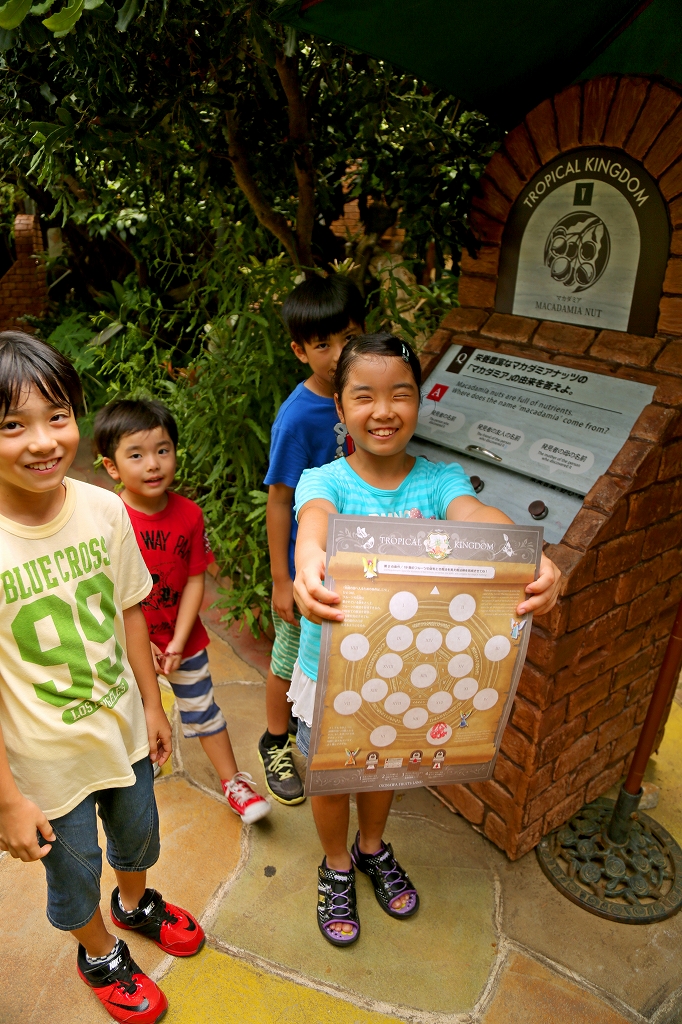 【最大720円割引】季節のフルーツパフェ付き！OKINAWAフルーツらんど入園チケットの写真