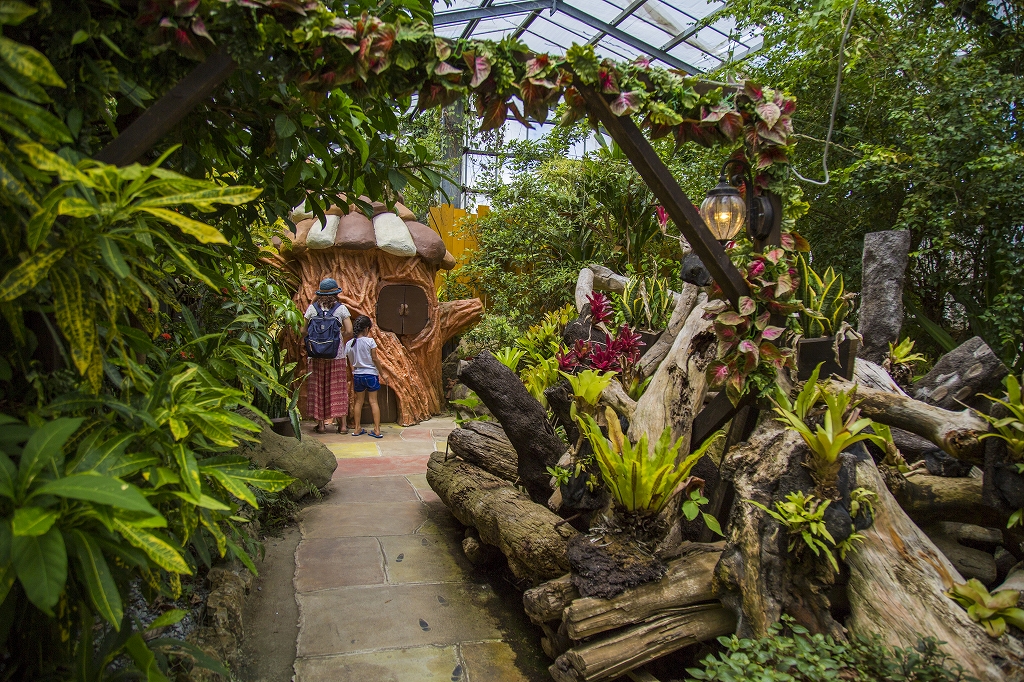 【最大720円割引】季節のフルーツパフェ付き！OKINAWAフルーツらんど入園チケットの写真