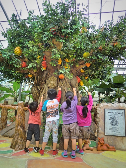 【最大720円割引】季節のフルーツパフェ付き！OKINAWAフルーツらんど入園チケットの写真