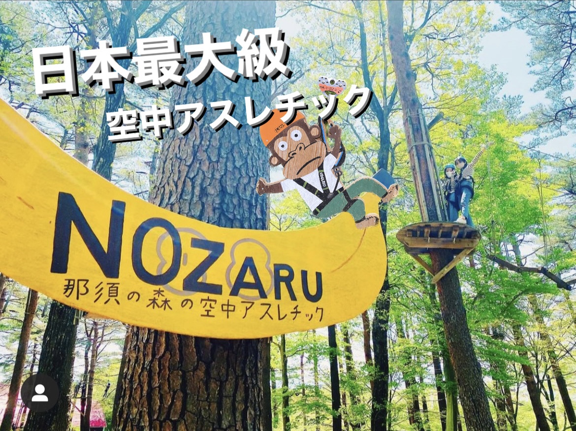 【栃木・那須・アスレチック】樹上のアスレチックで遊ぼう！ノザルコース（8コース・ジップライン付き）の写真