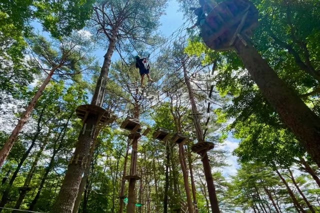 【栃木・那須・アスレチック】樹上のアスレチックで遊ぼう！ノザルコース（8コース・ジップライン付き）の写真