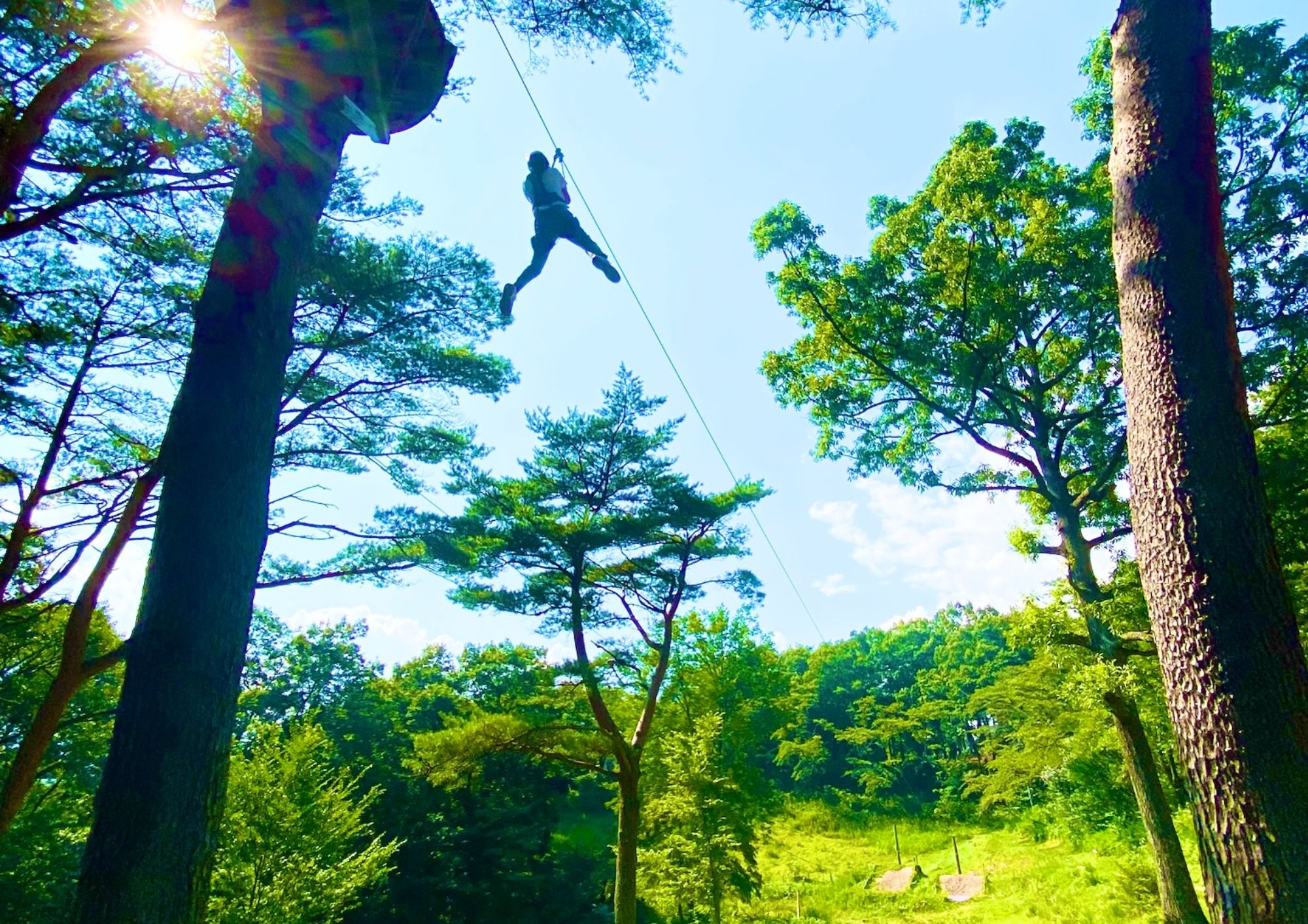 【栃木・那須・アスレチック】樹上のアスレチックで遊ぼう！ノザルコース（8コース・ジップライン付き）の写真