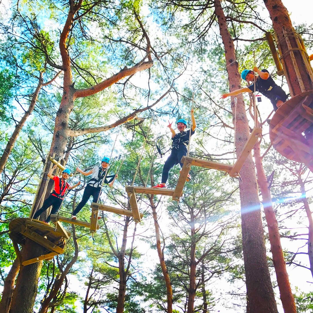 【栃木・那須・アスレチック】樹上のアスレチックで遊ぼう！ノザルコース（8コース・ジップライン付き）の写真