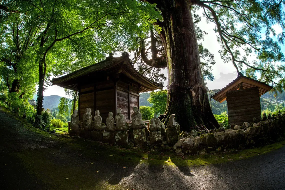 【e-Bike】レンタルチケット	の写真