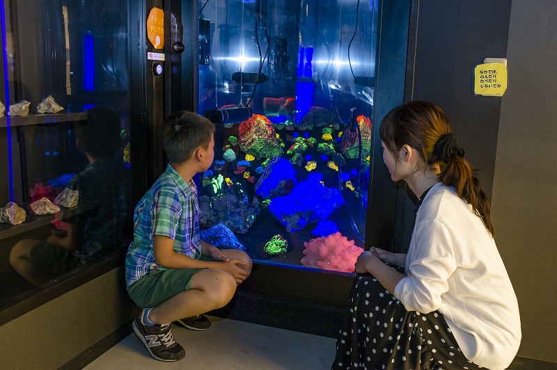 「光る石」はブラックライトを当てると光ります。人気の写真スポットです。