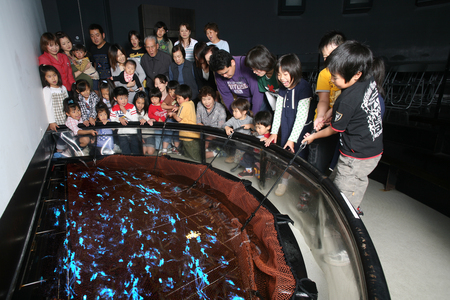 【2歳以下無料】事前購入でらくらく入館チケット♪の写真