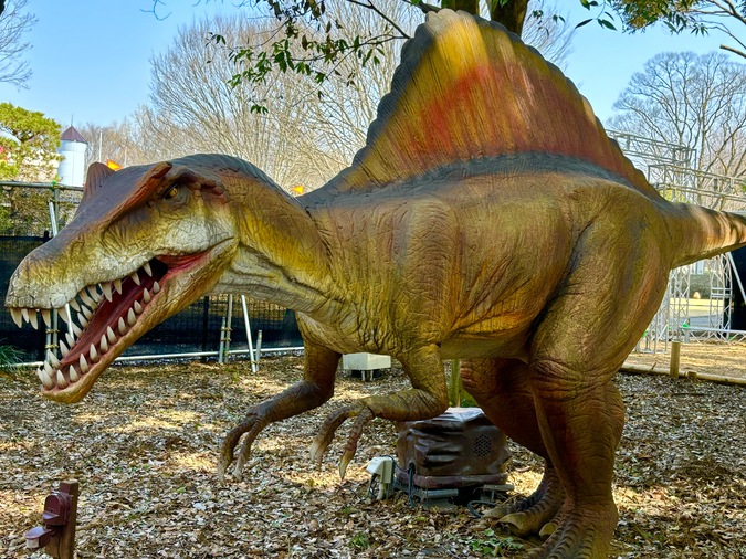 ＼おとな・子ども入場チケット☆100円割引／の写真