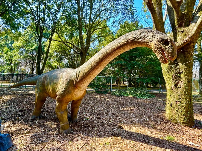 \おとな・子ども入場チケット☆100円割引/の写真