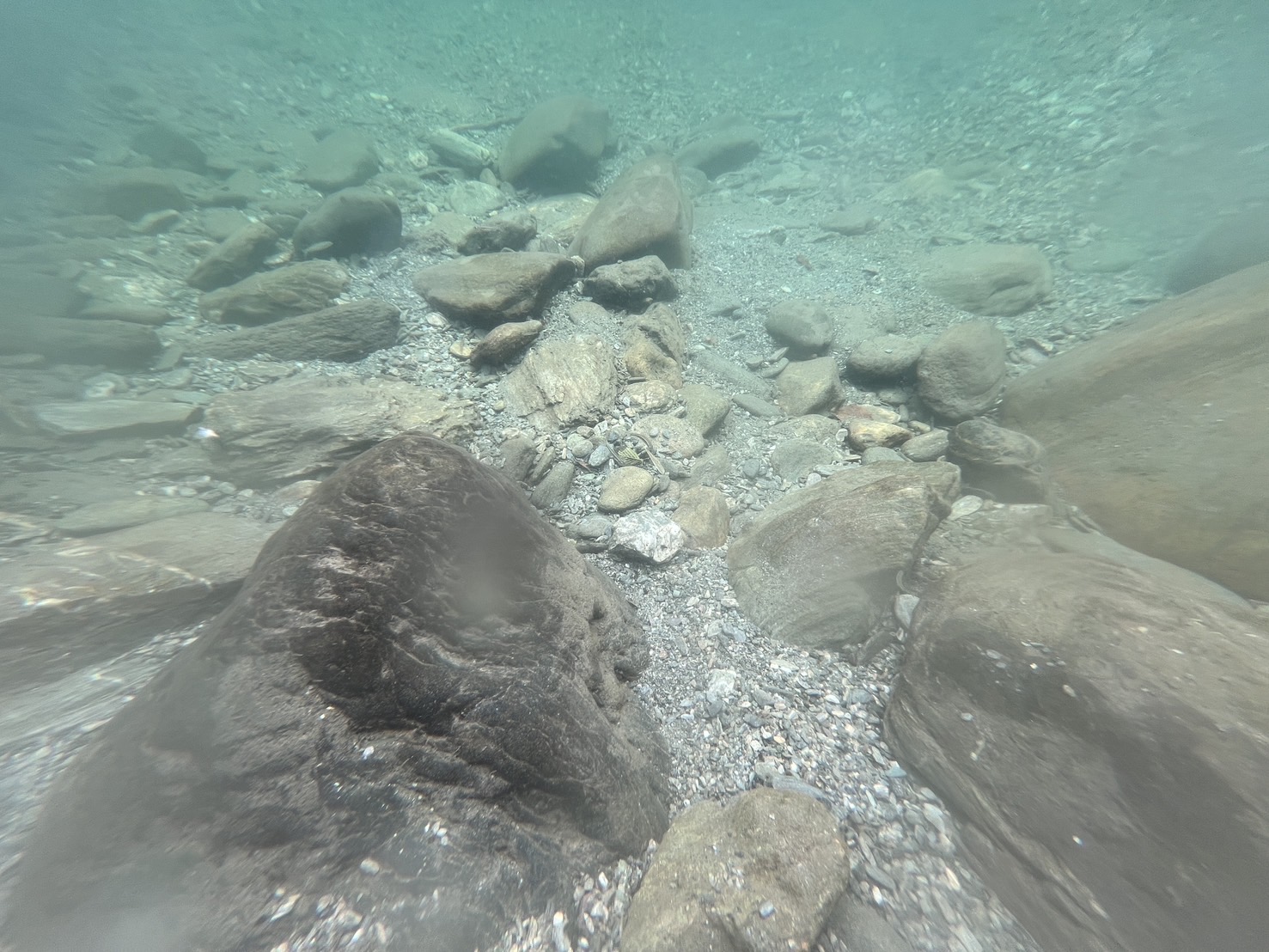 【宿泊者限定】SUP レンタルの写真