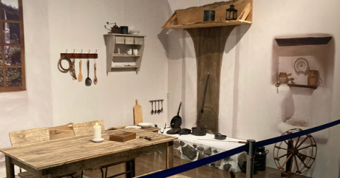 【前売】体感するファーブル昆虫展 in 横浜赤レンガ倉庫(会期7/19～8/24)の写真