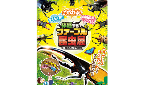 【当日券】体感するファーブル昆虫展 in 横浜赤レンガ倉庫(会期7/19～8/24)の写真