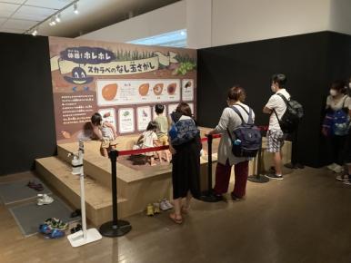 【当日券】体感するファーブル昆虫展 in 横浜赤レンガ倉庫(会期7/19～8/24)の写真