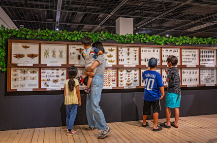 【当日券】体感するファーブル昆虫展 in 横浜赤レンガ倉庫(会期7/19～8/24)の写真