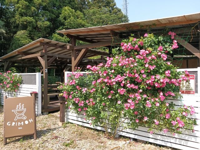 【酒々井/BBQ】持ち込みBBQプラン！飲食物持ち込み自由！4時間制の写真