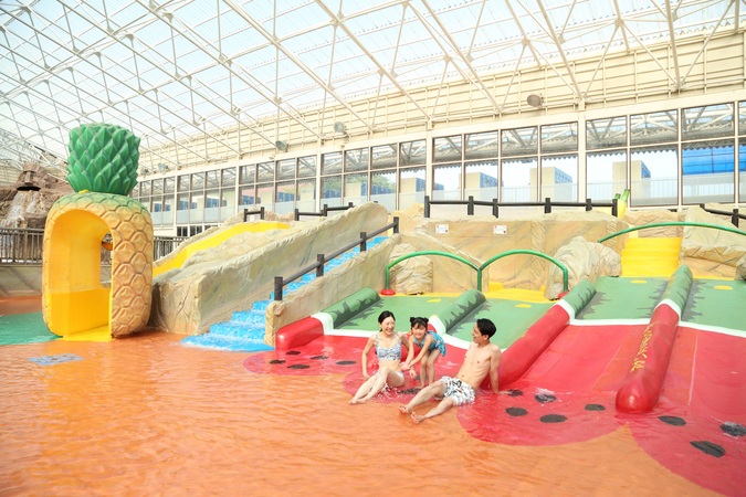 東京サマーランド1Dayパスの写真