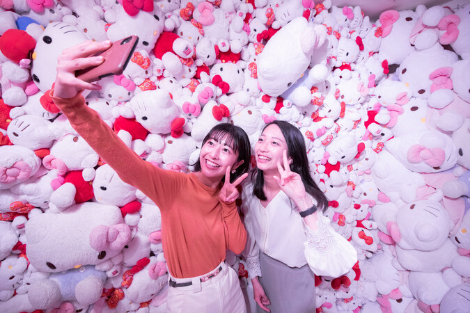 【3施設共通入場券】AWAJI HELLO KITTY APPLE LAND満喫プランの写真