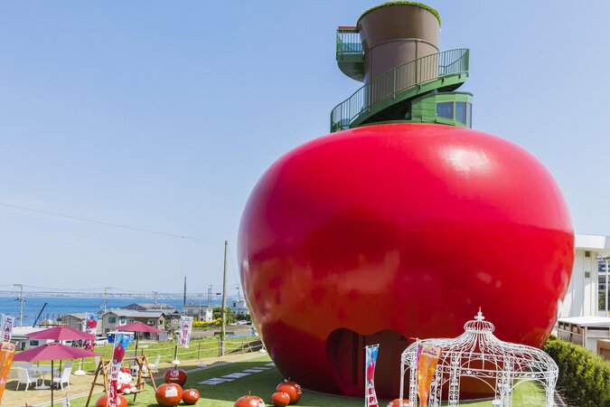 【3施設共通入場券】AWAJI HELLO KITTY APPLE LAND満喫プランの写真
