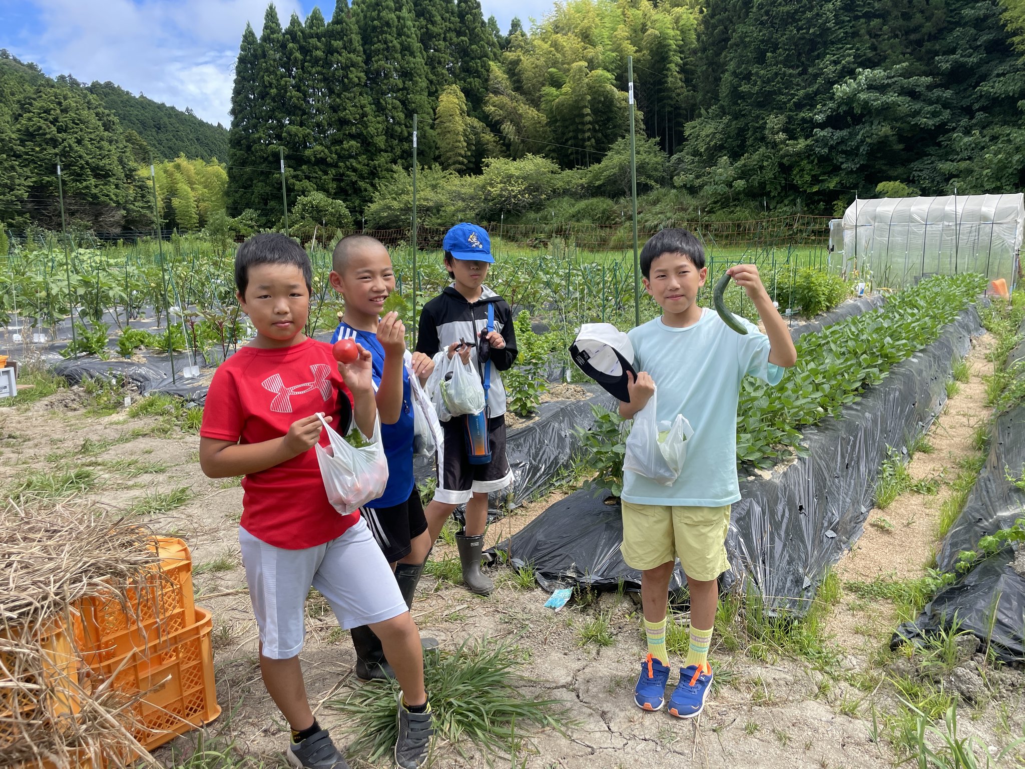 大多喜わんぱく自然農園 | 子供とお出かけ情報「いこーよ」