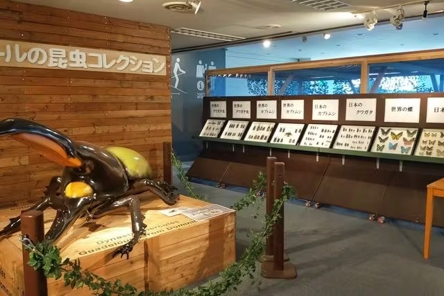 【最大500円割引！】ノルンみなかみ　1dayチケットで各アクテビティ 体験し放題！の写真