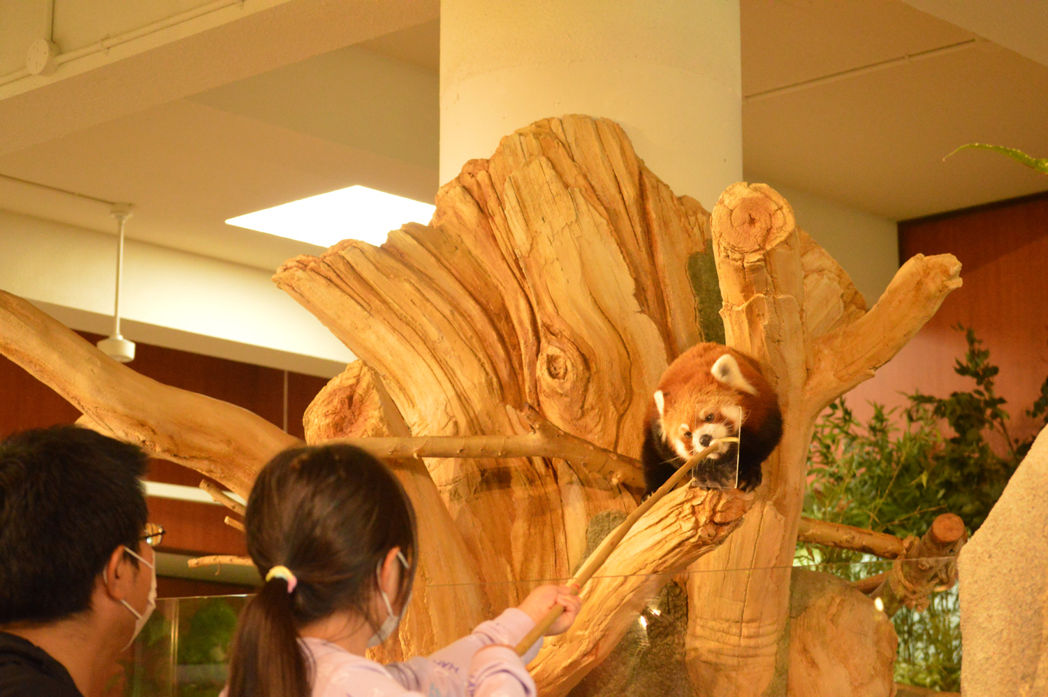 【100円引き！】「入園料＋ふれあい広場チケット」（2025/10/1～）の写真