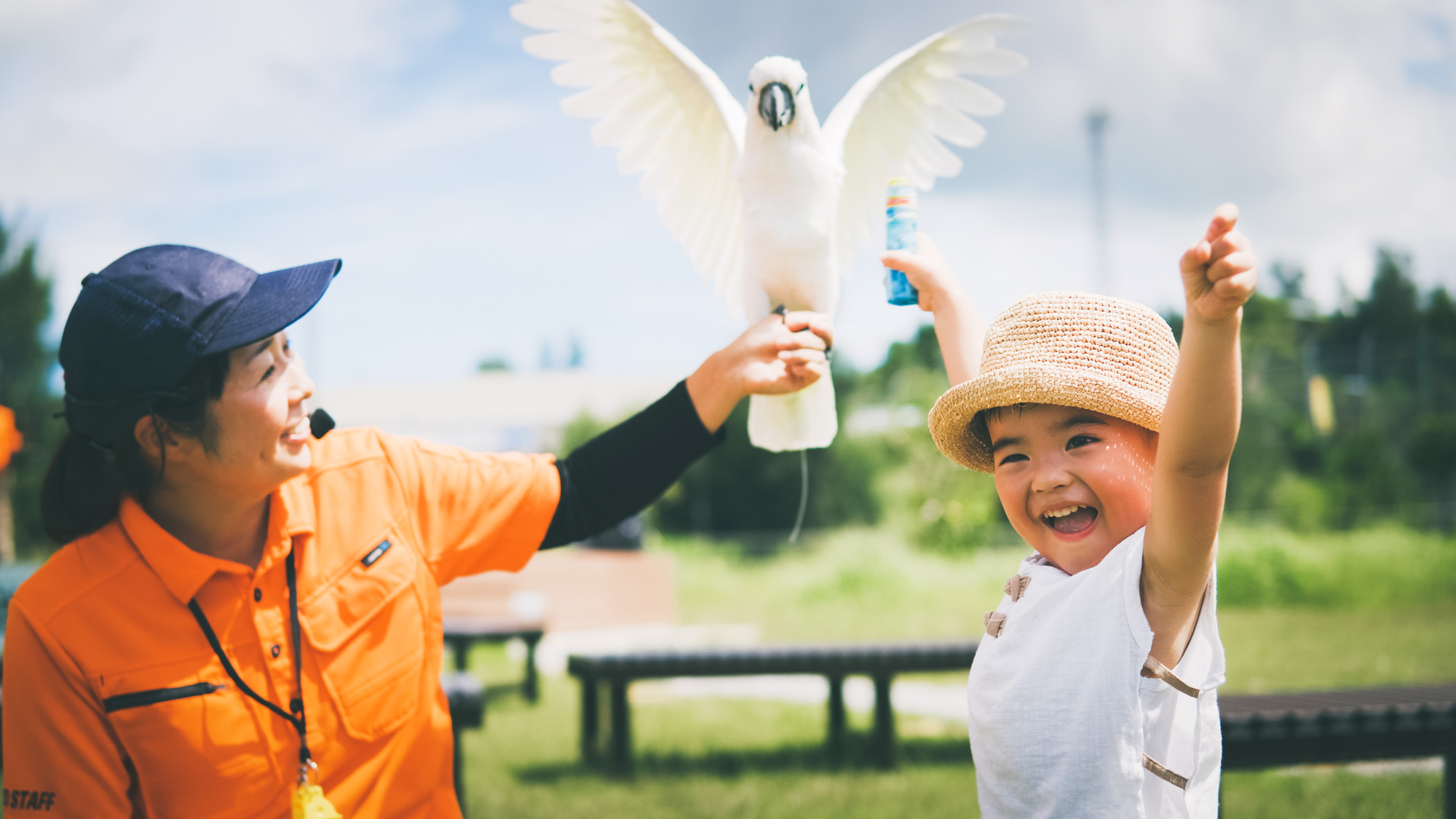 【100円引き！】「入園料＋ふれあい広場チケット」（2025/10/1～）の写真