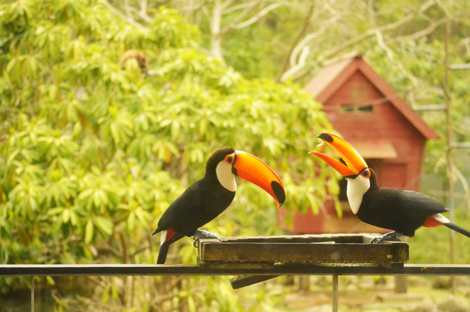 【100円引き！】「入園料＋ふれあい広場チケット」（2025/10/1～）の写真