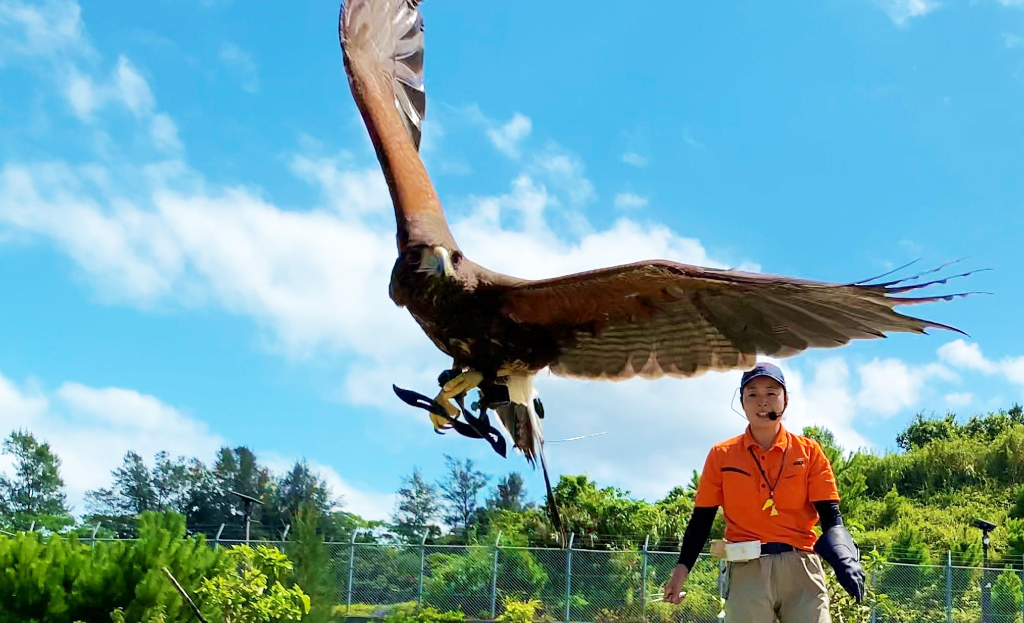 【100円引き！】「ネオパークオキナワ入園チケット」（2025/10/1～）の写真