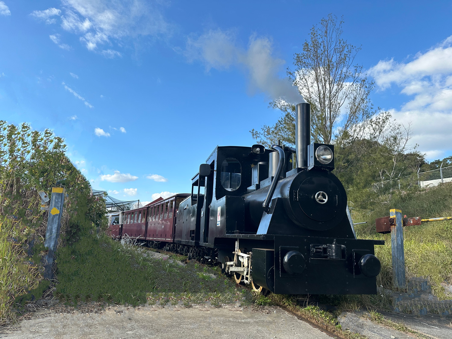 【100円引き！】「ネオパークオキナワ入園チケット」（2025/10/1～）の写真