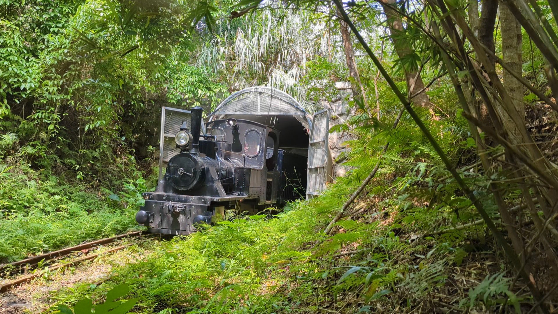 【100円引き！】「入園料＋沖縄軽便鉄道チケット」（2025/10/1～）の写真