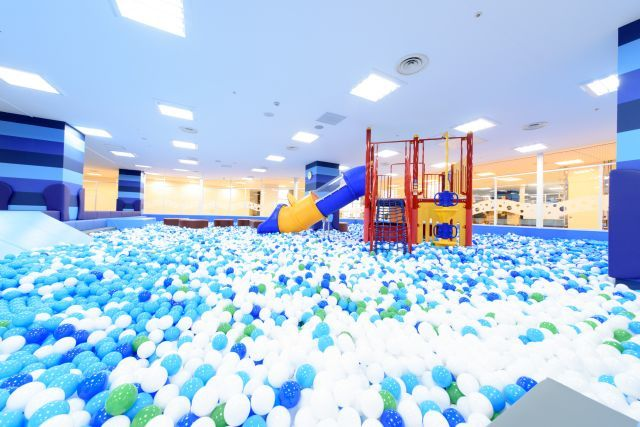 【休日限定/既存会員】ピュアキッズしんかな 大型室内公園 1日遊び放題フリーチケットの写真